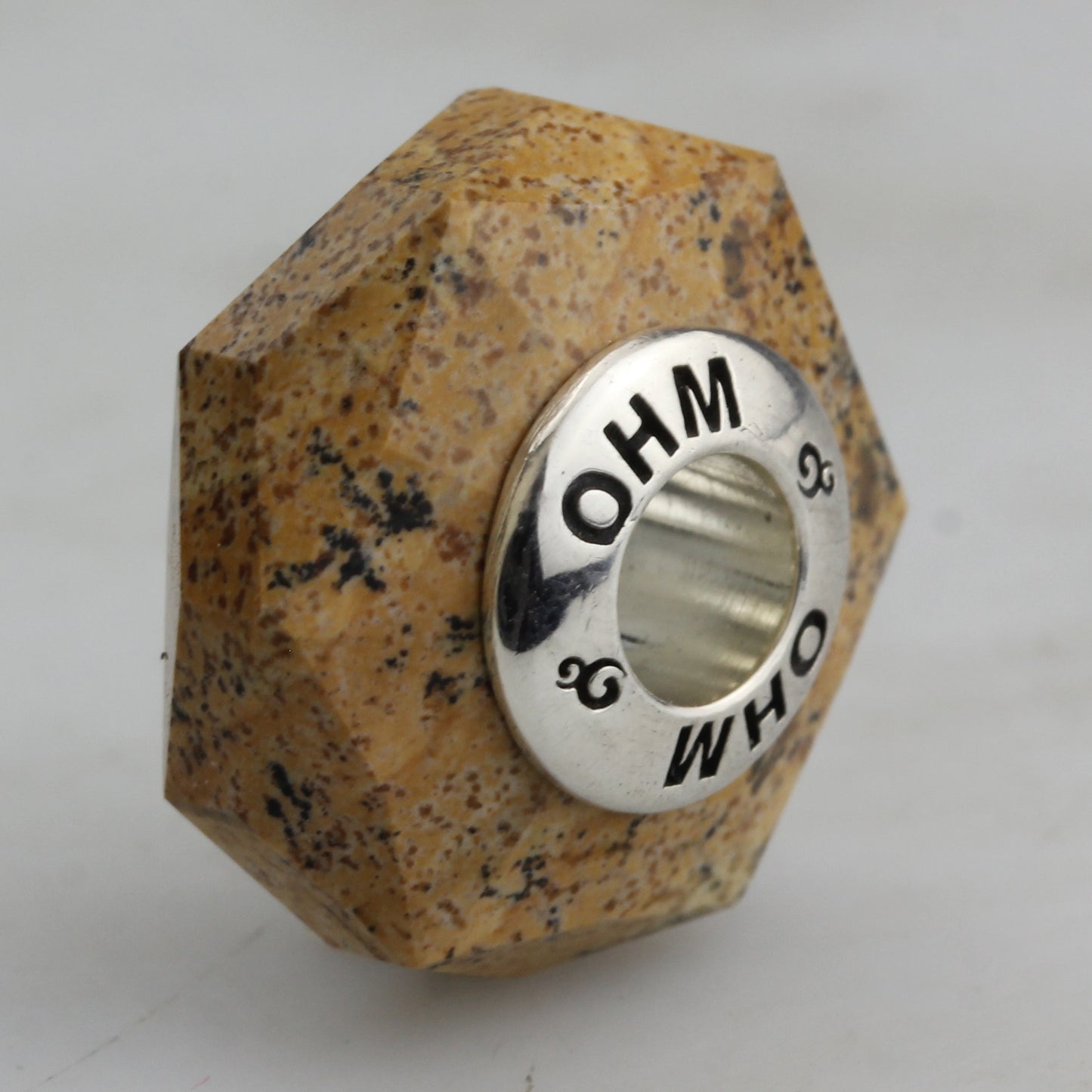 ROOTED POWER (Petrified Wood)