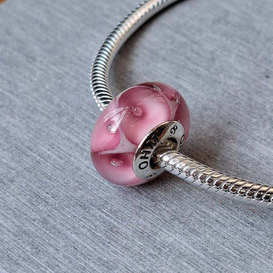 15 Ohmnique FEB 2026