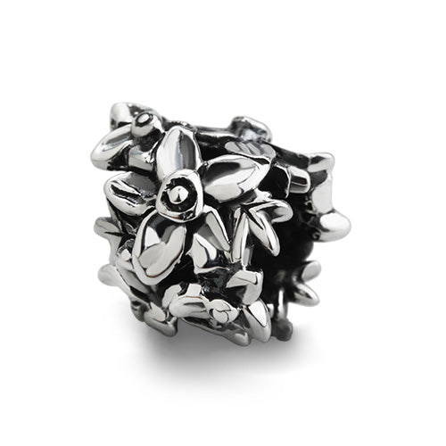 Daffodil’s Awakening