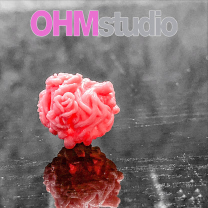 ROSE BIRDS IN THE WOODS