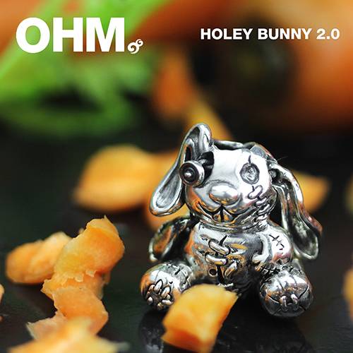 Holey Bunny 2.0